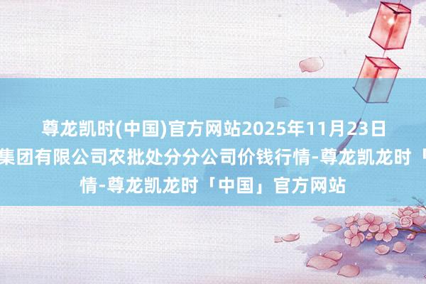 尊龙凯时(中国)官方网站2025年11月23日义乌市商场发展集团有限公司农批处分分公司价钱行情-尊龙凯龙时「中国」官方网站