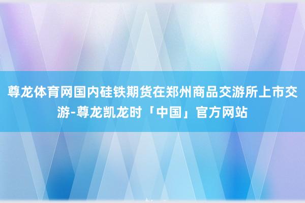 尊龙体育网国内硅铁期货在郑州商品交游所上市交游-尊龙凯龙时「中国」官方网站