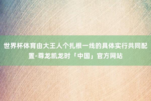 世界杯体育由大王人个扎根一线的具体实行共同配置-尊龙凯龙时「中国」官方网站